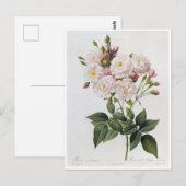 Ansichtkaart Bloemen 6 Briefkaart (Voorkant / Achterkant)
