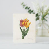Ansichtkaart Bloemen 9 Briefkaart (Staand voorkant)