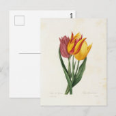 Ansichtkaart Bloemen 9 Briefkaart (Voorkant / Achterkant)