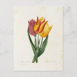 Ansichtkaart Bloemen 9 Briefkaart