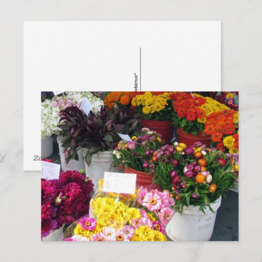 Ansichtkaart – Bloemenmarkt Briefkaart (Voorkant / Achterkant)