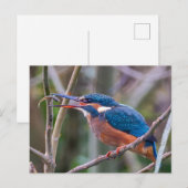 Ansichtkaart Briefkaart (Voorkant / Achterkant)