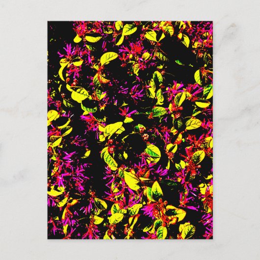 Ansichtkaart Briefkaart (Voorkant)