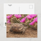 Ansichtkaart Briefkaart (Voorkant / Achterkant)