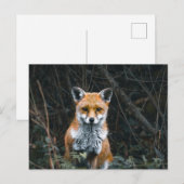 Ansichtkaart Briefkaart (Voorkant / Achterkant)
