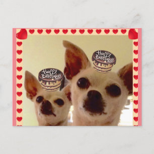 ANSICHTKAART- BRIEFKAART