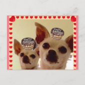 ANSICHTKAART- BRIEFKAART (Voorkant)