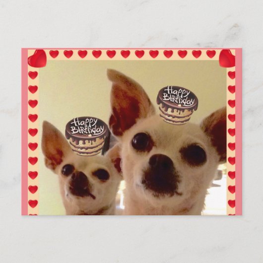 ANSICHTKAART- BRIEFKAART (Voorkant)