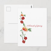 Ansichtkaart  briefkaart (Voorkant / Achterkant)