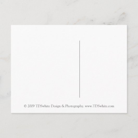 Ansichtkaart Cadeaus Liefde Zwanen Aankondigingskaart (Achterkant)