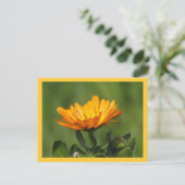 Ansichtkaart - Calendula Bloei Briefkaart (Staand voorkant)