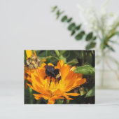Ansichtkaart - Calendula en Bij Briefkaart (Staand voorkant)