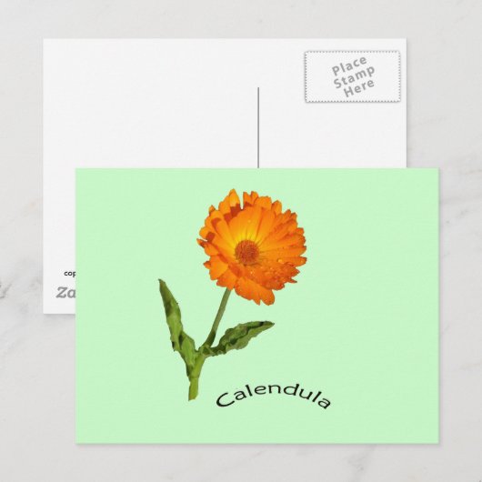 Ansichtkaart - Calendula met label Briefkaart (Voorkant / Achterkant)