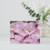 Ansichtkaart - Close-up van Primrose Briefkaart (Staand voorkant)