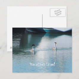Ansichtkaart - Cruise Vakantie Briefkaart