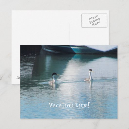 Ansichtkaart - Cruise Vakantie Briefkaart (Voorkant / Achterkant)