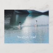 Ansichtkaart - Cruise Vakantie Briefkaart (Voorkant)
