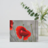 Ansichtkaart De Rode Papaver Briefkaart (Staand voorkant)