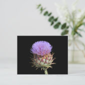 Ansichtkaart - Distel Briefkaart (Staand voorkant)
