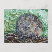 Ansichtkaart Egel. Briefkaart (Voorkant)