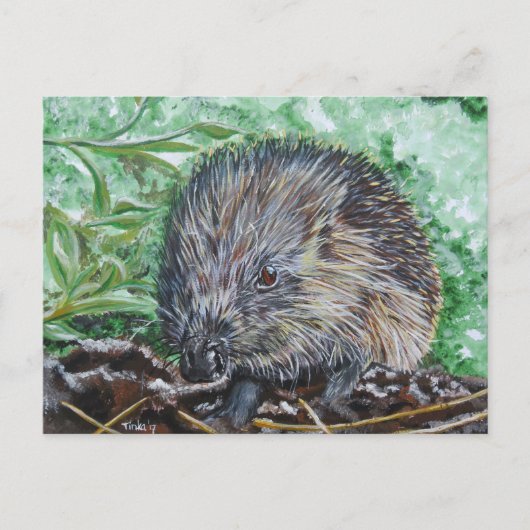 Ansichtkaart Egel. Briefkaart (Voorkant)