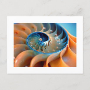 Ansichtkaart - Fibonacci Schelpen Briefkaart
