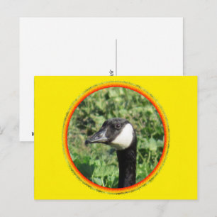 Ansichtkaart - Gans Portret Briefkaart