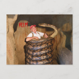 Ansichtkaart Grote Slang QLD Australië Briefkaart