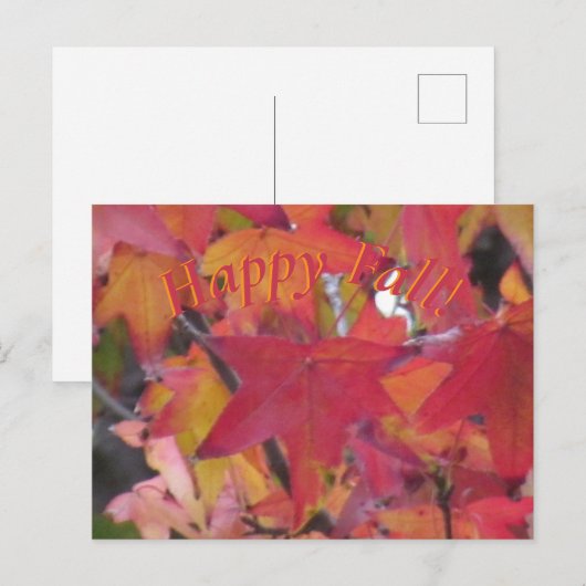 Ansichtkaart - Herfstbladeren Briefkaart (Voorkant / Achterkant)
