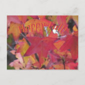 Ansichtkaart - Herfstbladeren Briefkaart (Voorkant)