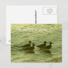 Ansichtkaart - Het water is prima! Briefkaart