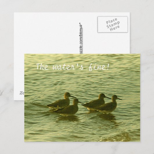 Ansichtkaart - Het water is prima! Briefkaart (Voorkant / Achterkant)