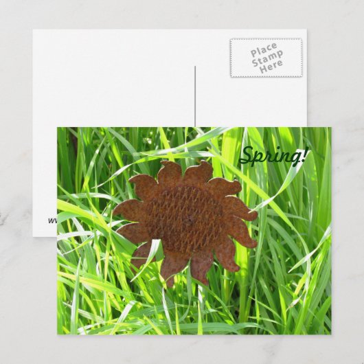 Ansichtkaart - IJzeren zonnebloem in gras Briefkaart (Voorkant / Achterkant)