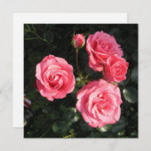 Ansichtkaart Kaart (Voorkant / Achterkant)