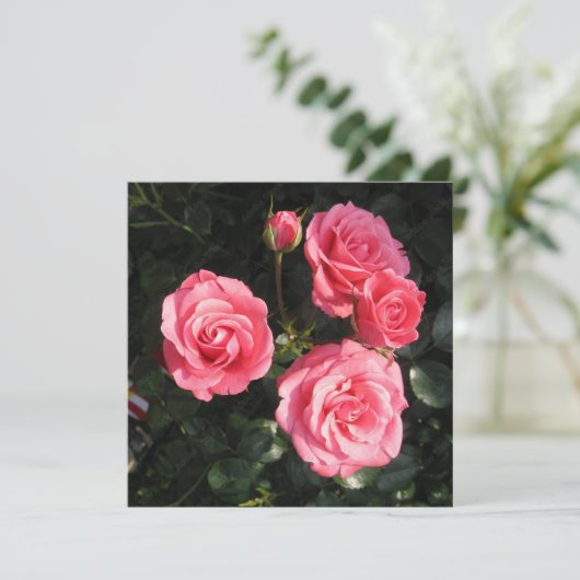 Ansichtkaart Kaart (Staand voorkant)