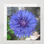 Ansichtkaart Kaart (Voorkant / Achterkant)