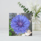 Ansichtkaart Kaart (Staand voorkant)