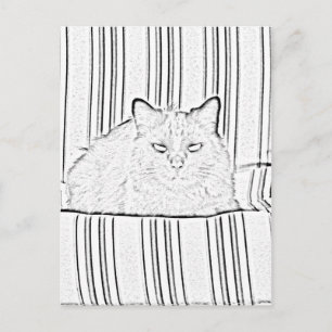 Ansichtkaart - Kat op gestreepte stoel om in te kl Briefkaart