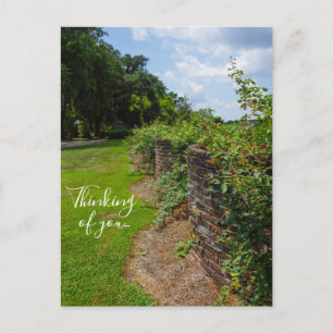 Ansichtkaart Langs De Gebogen Muur Denkend Aan Jou Briefkaart