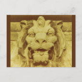 Ansichtkaart - Leeuwenkop Briefkaart (Voorkant)