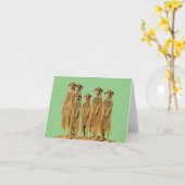 Ansichtkaart Meerkat Blank Kaart (Gele Bloem)
