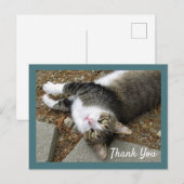 Ansichtkaart met bedankje van een lapjeskat met dr briefkaart (Voorkant / Achterkant)