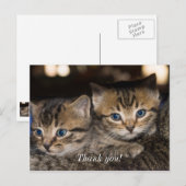 Ansichtkaart met dank aan mamma met twee katjes di briefkaart (Voorkant / Achterkant)