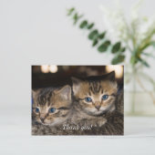Ansichtkaart met dank aan mamma met twee katjes di briefkaart (Staand voorkant)