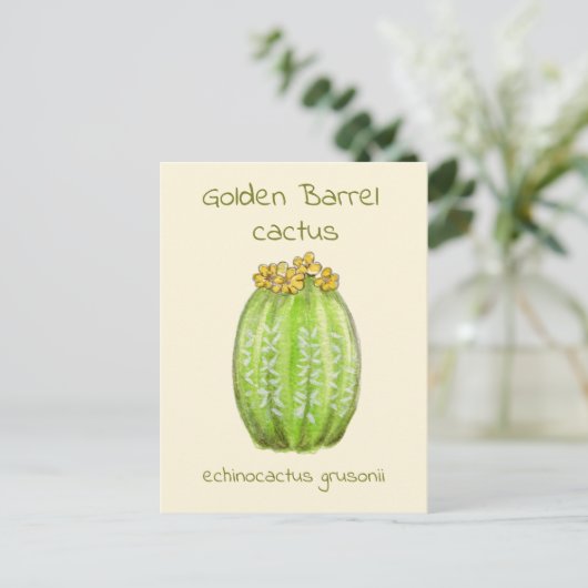 Ansichtkaart met gouden vatcactus briefkaart (Staand voorkant)