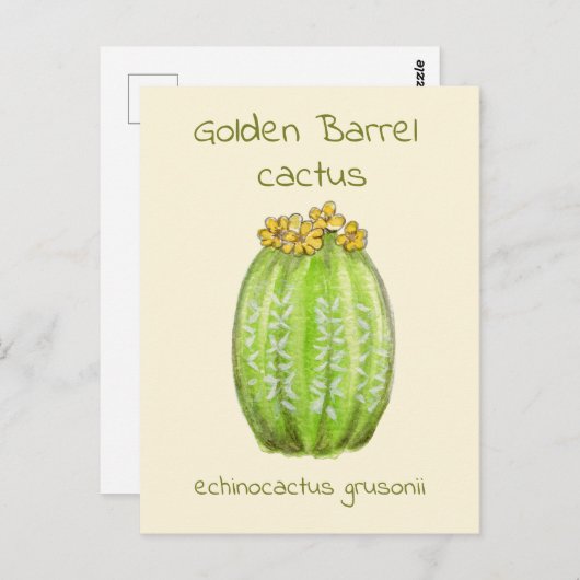 Ansichtkaart met gouden vatcactus briefkaart (Voorkant / Achterkant)