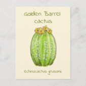 Ansichtkaart met gouden vatcactus briefkaart (Voorkant)