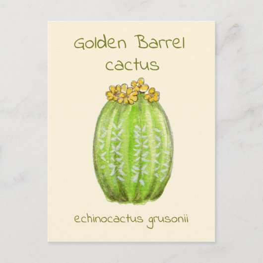 Ansichtkaart met gouden vatcactus briefkaart (Voorkant)