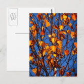Ansichtkaart met herfstbladeren briefkaart (Voorkant / Achterkant)
