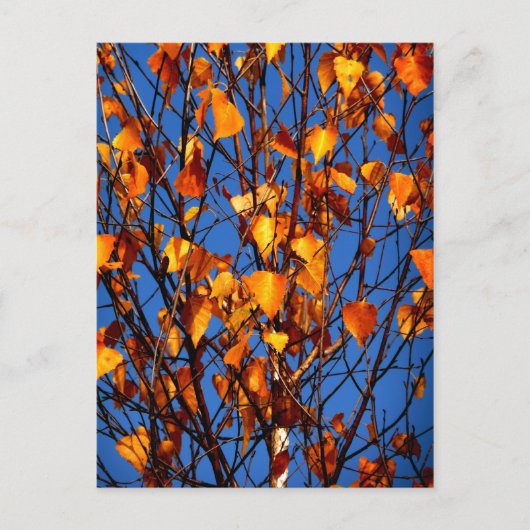 Ansichtkaart met herfstbladeren briefkaart (Voorkant)